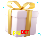 Receba seus bônus de boas-vindas no pugbet